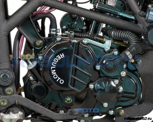 Мотоцикл Regulmoto FARGO 300  фото 7