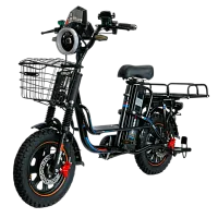 Электровелосипед Wenbox W-21 PRO 