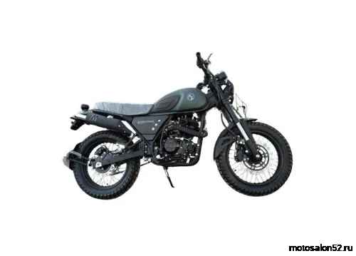 Мотоцикл RACER RC300-GY8H TRIUMPH 300 (Россия)  фото 2