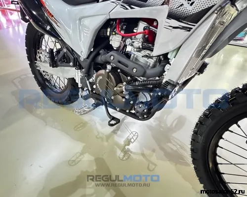 Мотоцикл Regulmoto TE PRO NB300  фото 9
