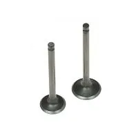 Клапана 153FMI d-23/27 впускной+вып YX125 LF120 SM-PARTS питбайк 