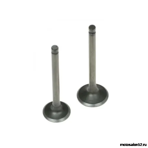 Клапана 152QMJ d-21/24 впускной + выпускной FDF 