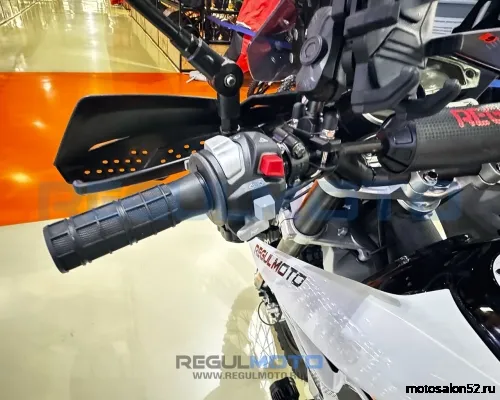 Мотоцикл Regulmoto TE PRO NB300  фото 5