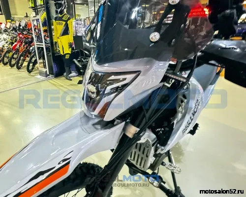 Мотоцикл Regulmoto TE PRO NB300  фото 10