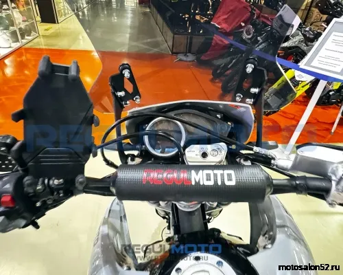 Мотоцикл Regulmoto TE PRO NB300  фото 2
