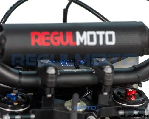 Мотоцикл Regulmoto Crosstrec 300  фото 9