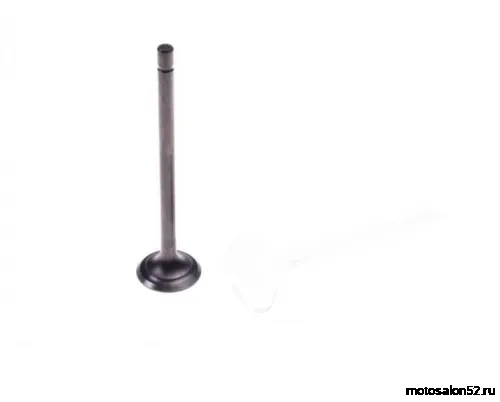 Клапан впускной Рингер 110 
