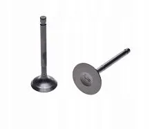 Клапана 165FMM/169FMM d-27/31.5 впускной+выпускной 