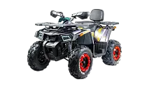 Комплект запчастей Motoland 200 WILD TRACK X ЗИП 