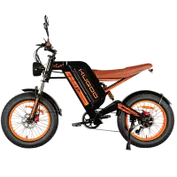 Электровелосипед KUGOO KIRIN V6 