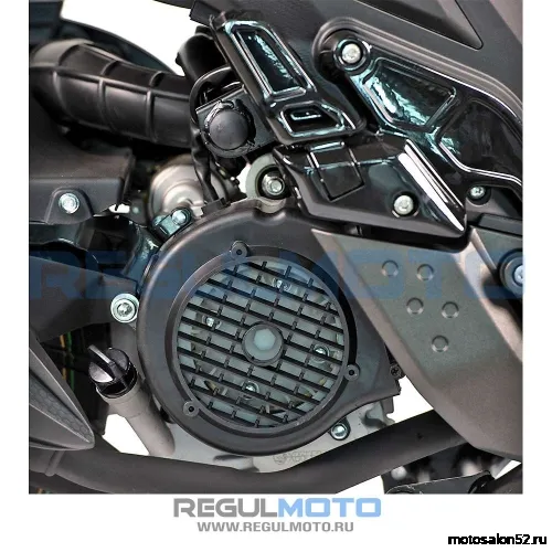 Скутер Regulmoto BWX (LJ-3)  фото 9