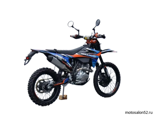 Мотоцикл Regulmoto NORDEN  фото 5