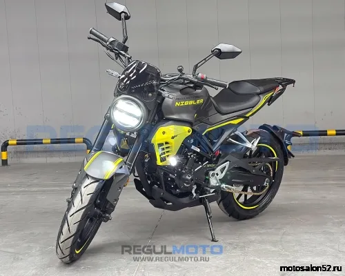Мотоцикл Regulmoto Nibbler  фото 11