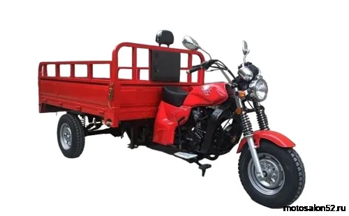 Мотоцикл AGIAX 1 (АЯКС) ТРИЦИКЛ грузовой 250 куб.см, ВОЗД.ОХЛ.  фото 2