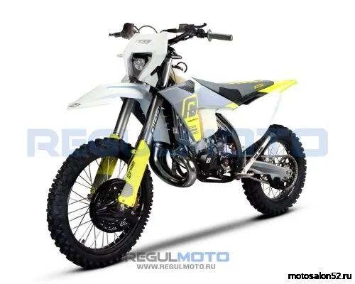 Мотоцикл Regulmoto NIBBI TE N300-SR 2T  фото 2
