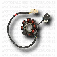 Статор генератора 165 FMM TTR250R 8 кат. FDF 