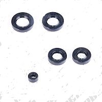 Сальники двигателя 162 FMJ CG150 