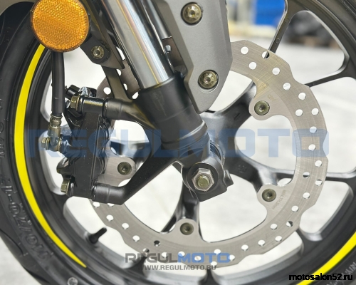 Мотоцикл Regulmoto Nibbler  фото 7