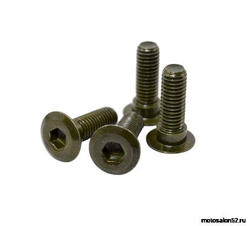 Болты крепления тормозного диска заднего Sport 003, T-Leopard (4 шт.) 