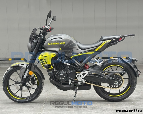 Мотоцикл Regulmoto Nibbler  фото 3
