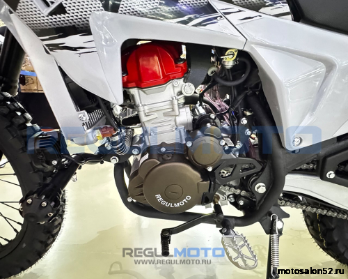 Мотоцикл Regulmoto TE PRO NB300 фото 8