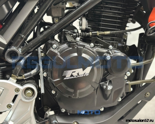 Мотоцикл Regulmoto Nibbler  фото 16