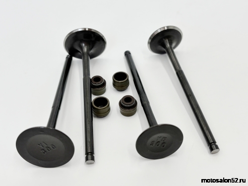 Клапана 174MN-3 (CBS300) (впуск/выпуск)  