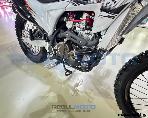 Мотоцикл Regulmoto TE PRO NB300 фото 9