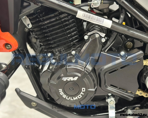 Мотоцикл Regulmoto Nibbler  фото 9