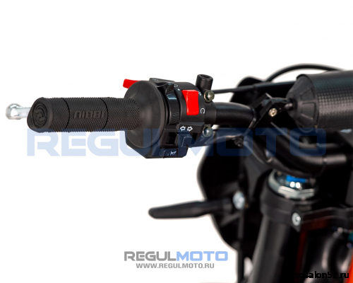 Мотоцикл Regulmoto ATHLETE PRO 300 (4 valves) 6 передач фото 2