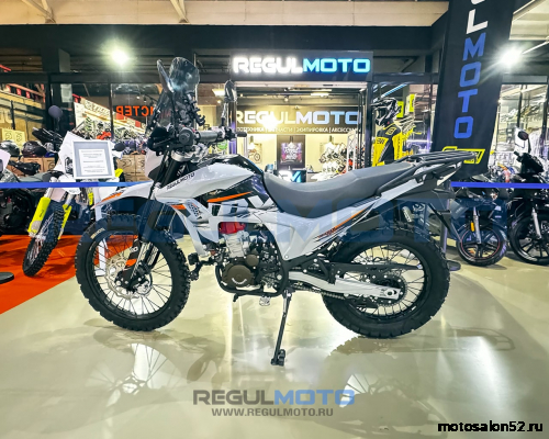 Мотоцикл Regulmoto TE PRO NB300 фото 6