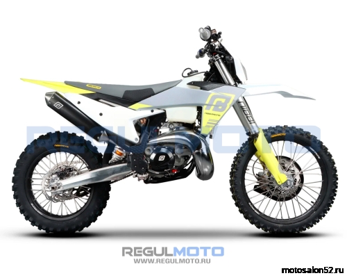 Мотоцикл Regulmoto NIBBI TE N300-SR 2T 