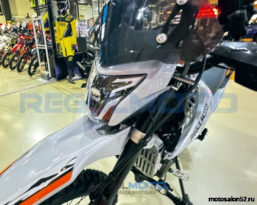 Мотоцикл Regulmoto TE PRO NB300  фото 10