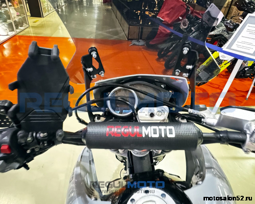 Мотоцикл Regulmoto TE PRO NB300 фото 2