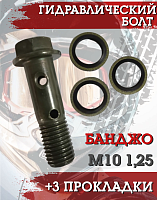 Болт гидравлический М10*1,25 (+3 прокладки) 