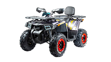 Комплект запчастей Motoland 200 WILD TRACK X ЗИП 