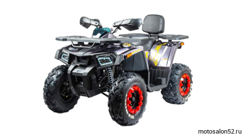 Комплект запчастей Motoland 200 WILD TRACK X ЗИП 