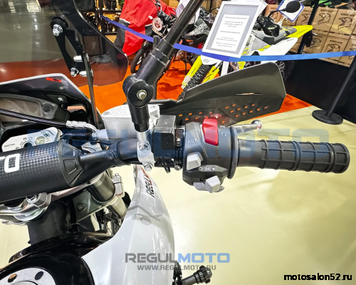 Мотоцикл Regulmoto TE PRO NB300 фото 3
