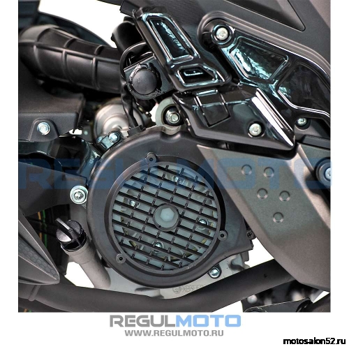 Скутер Regulmoto BWX (LJ-3)  фото 9 Скутер Regulmoto BWX (LJ-3)  фото 9