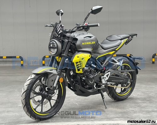 Мотоцикл Regulmoto Nibbler  фото 12